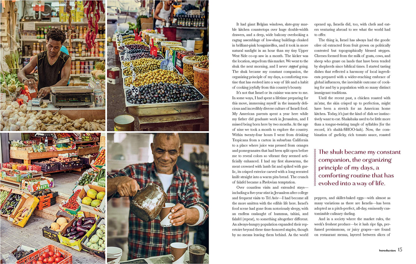 Sababa: Fresh, Sunny Flavors Cookbook