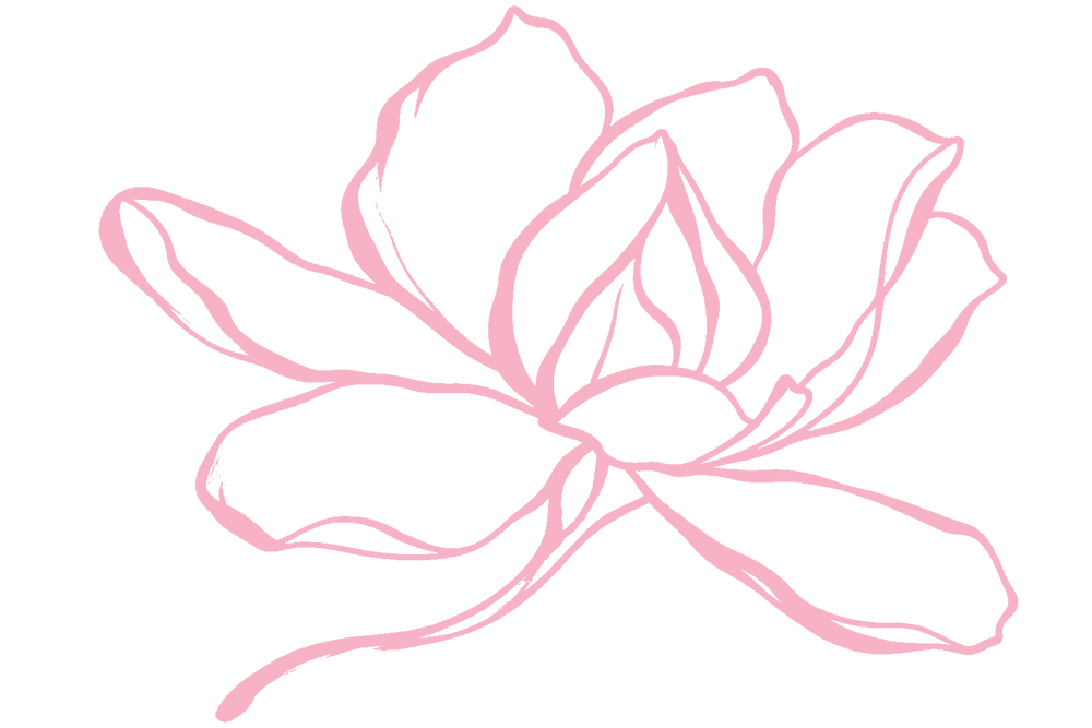 Refined Pink Salt magnolia line drawing